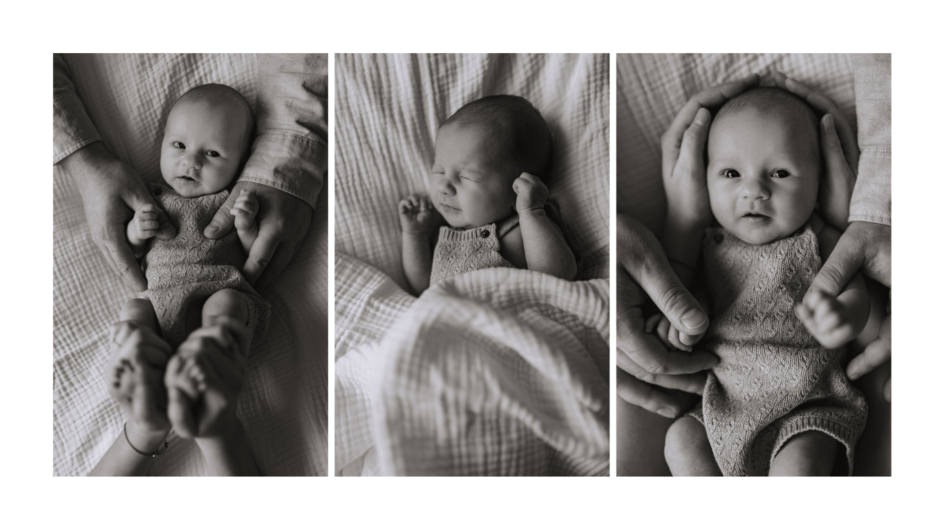 Babyfotografie Sondershausen